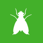 white vector image of a gnat on a green background
